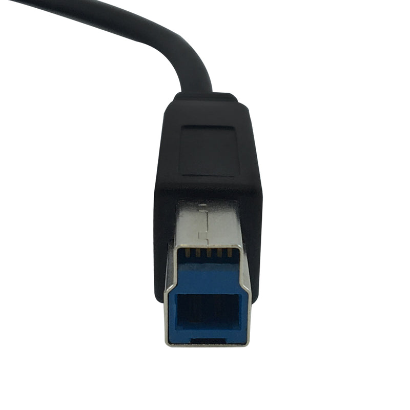 USB 3.1 Type-C to B Male Cable 10G 3A - Black