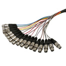 Premium Phantom Cables 1/4 Inch TRS Male to XLR Female Balanced Analog 16-Channel Snake Cable