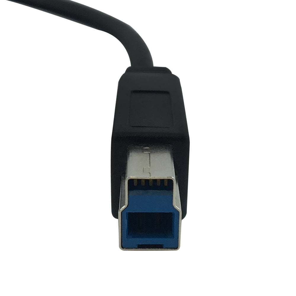 USB 3.1 Type-C Male to B Male Cable 10G 3A - Black