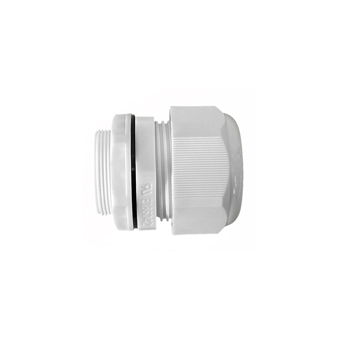 Color_White