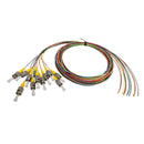 3m ST/UPC 12-Fiber OS2 Singlemode Simplex 9 micron - 900um Pigtail - Color Coded