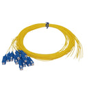 3m SC/UPC 12-Fiber OS2 Singlemode Simplex 9 micron - 900um Pigtail - Yellow