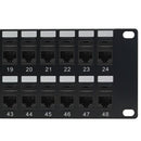 48-Port CAT6 Patch Panel, 19" Rackmount 2U - Pass-Through