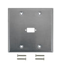 Double Gang, 1 x ICDB Size Cutout Stainless Steel Wall Plate